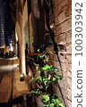 under the red brick guard 100303942