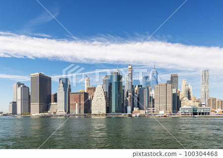 New York City skyline New York City skyline 100304468