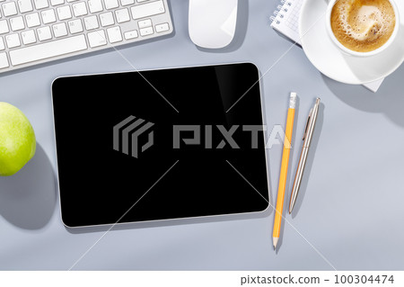 Tablet with blank screen 100304474