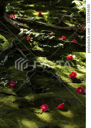 城南宮的秋天 城南宮的秋天 100304686