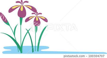 Iris Iris 100304707