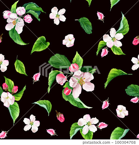 Seamless pattern with apple tree blooms, buds and leaves. Watercolor illustration isolated on black background Seamless pattern with apple tree blooms, buds and leaves. Watercolor illustration isolated on black background 100304708