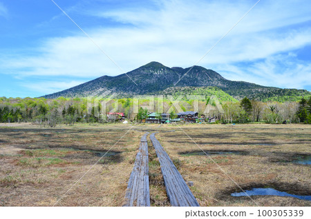 Spring Ozegahara and Mt. Kasumigatake 100305339