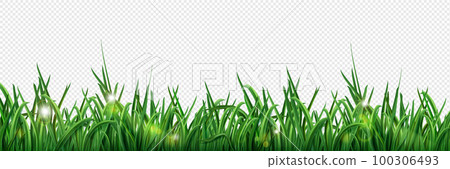 Isolated green grass lawn border illustration Isolated green grass lawn border illustration 100306493