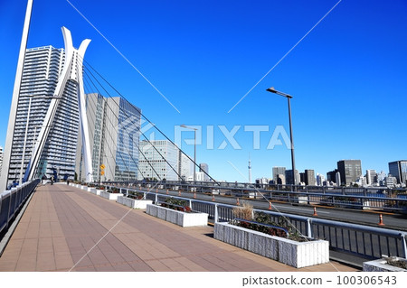 城市景觀:佃島中央大橋 城市景觀:佃島中央大橋 100306543