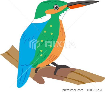 一隻鳥 一隻鳥 100307231