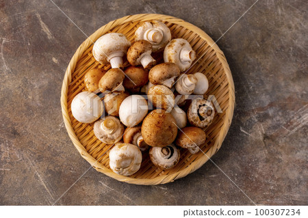 羊肚菌 蘑菇 冠軍 100307234