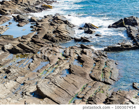 由砂岩和泥岩交替層形成的犬吠崎波浪海岸線的有趣地層 由砂岩和泥岩交替層形成的犬吠崎波浪海岸線的有趣地層 100307454