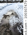 雪路，融雪，融雪路，融雪路，瀝青水坑 100307479