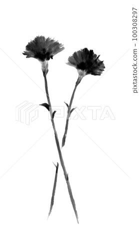 康乃馨花（水墨手繪插圖） 100308297