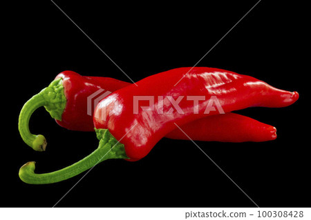 甜椒、水椒、彩椒、紅甜椒、黑底、燈籠椒、水果燈籠椒、七彩燈籠椒、紅燈籠椒、 甜椒、水椒、彩椒、紅甜椒、黑底、燈籠椒、水果燈籠椒、七彩燈籠椒、紅燈籠椒、 100308428