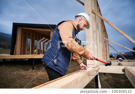 Man worker building wooden frame house on pile foundation. Carpenter hammering nail into wooden board, using hammer. Carpentry concept. 100308535