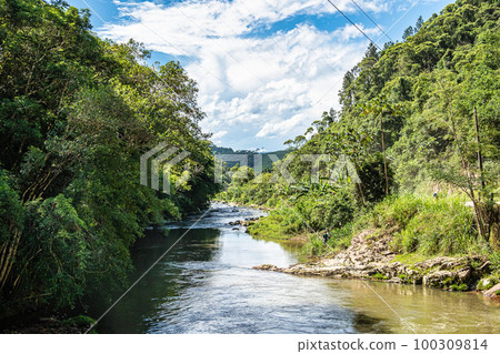 Landscape view of Atalaia Park, Itajai City, Brazil. Parque Nacional da Serra do Itajai 100309814