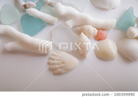 Blue sea glass and white coral and shells lined up slightly above 100309990