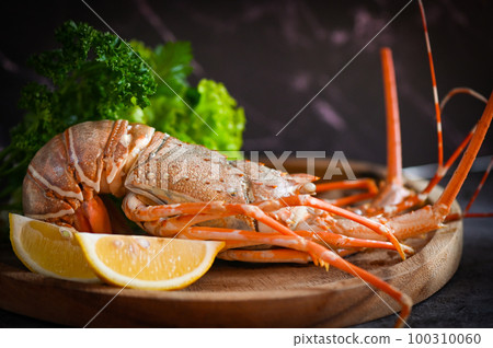 spiny lobster seafood on wooden plate, fresh lobster or rock lobster with herb and spices lemon coriander parsley on dark background, lobster for cooking food 100310060