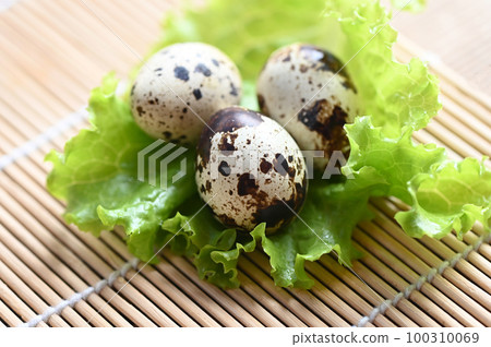 quail eggs on lettuce salad vegetable, fresh quail eggs on wooden table for cooking food 100310069