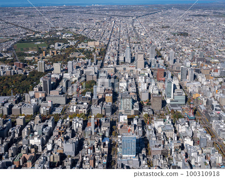 Sapporo city center 100310918