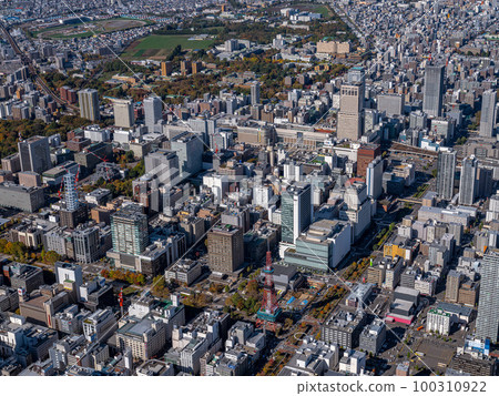 Sapporo city center 100310922