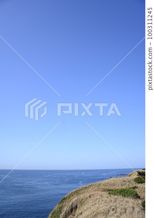Scenery of Jogashima Park, Miura City, Kanagawa Prefecture 100311245