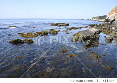 Scenery of Jogashima Park, Miura City, Kanagawa Prefecture 100311282