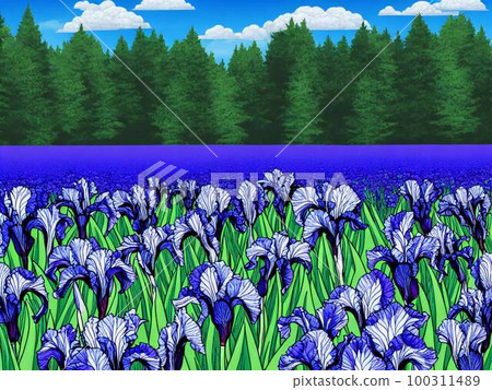 Japanese iris, blue flower, AI illustration Japanese iris, blue flower, AI illustration 100311489