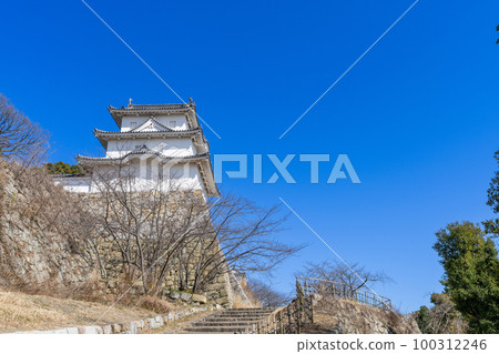 《兵庫縣》明石城/明石城的風景 100312246