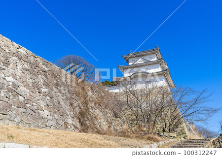 《兵庫縣》明石城/明石城的風景 100312247