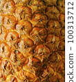 Pineapple peel texture full frame close-up. 100313712