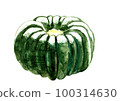 Japanese pumpkin watercolor illustration 100314630