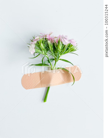Pink flower with plaster. Conceptual image healthy 100315244