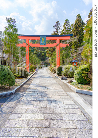 [Nara Prefecture] Ryozenji Temple in Nara City (taken on March 10, 2023) 100316617