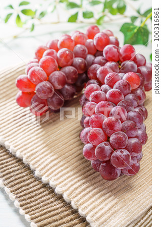 Grape (Delaware) Grape (Delaware) 100316861