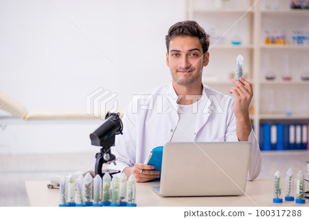 Young male chemist in drugs synthesis concept 100317288