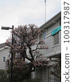 Spring 100317987