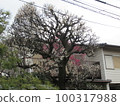 Spring 100317988