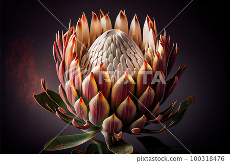 Protea Flower, African Protea, Abstract Generative AI Illustration 100318476