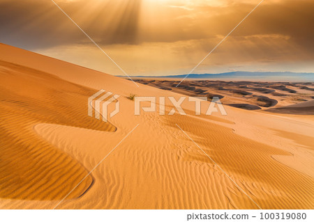 Sunset over the sand dunes in the desert. Arid landscape of the Sahara desert. Sunset over the sand dunes in the desert. Arid landscape of the Sahara desert. 100319080