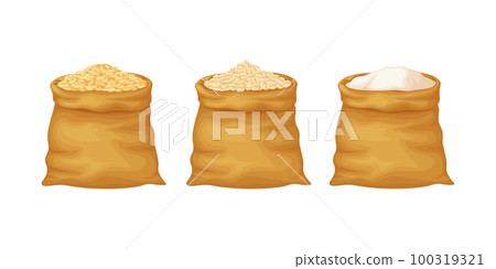 Oats. Bags of oat grains, oat flakes and flour. Cereals in bags. Vector illustration 100319321