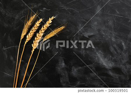 Dry ears of wheat on a dark kitchen table. View from above Dry ears of wheat on a dark kitchen table. View from above 100319501