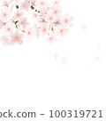 Fluttering cherry blossoms (transparent) 100319721