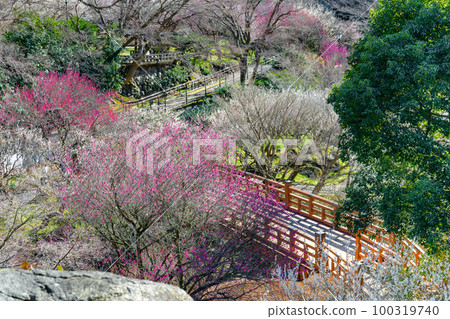 靜岡縣熱海市熱海梅園 靜岡縣熱海市熱海梅園 100319740