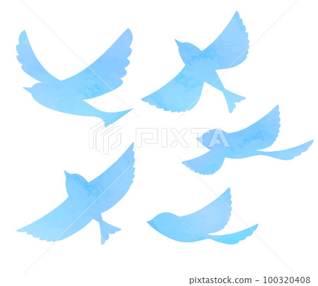 blue bird silhouette variations 100320408