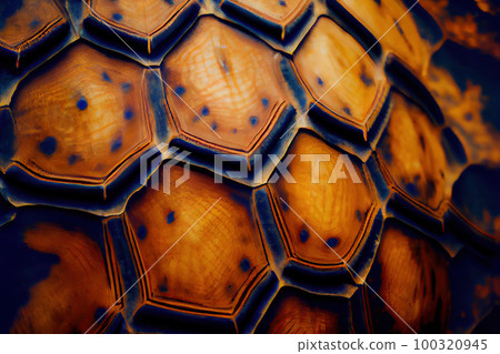 Turtle Shell Texture Background, Brontosaurus Dinosaur Skin, Generative AI Illustration Turtle Shell Texture Background, Brontosaurus Dinosaur Skin, Generative AI Illustration 100320945