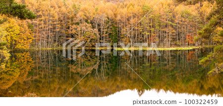 《Nagano Prefecture》Autumn Leaves Mika Pond・Autumn Leaves Peak 《Early Morning》 100322459
