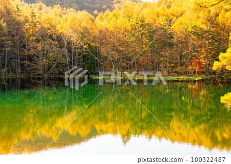 《Nagano Prefecture》Autumn Leaves Mika Pond・Autumn Leaves Peak 《Early Morning》 《Nagano Prefecture》Autumn Leaves Mika Pond・Autumn Leaves Peak 《Early Morning》 100322487
