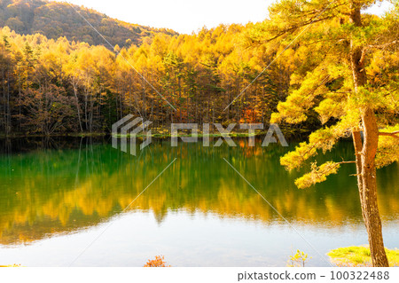 《長野縣》紅葉美嘉池・紅葉峰《清晨》 《長野縣》紅葉美嘉池・紅葉峰《清晨》 100322488