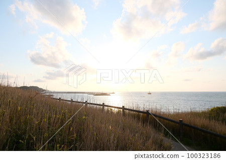 雨前海角 14 雨前海角 14 100323186