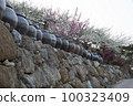The 100323409
