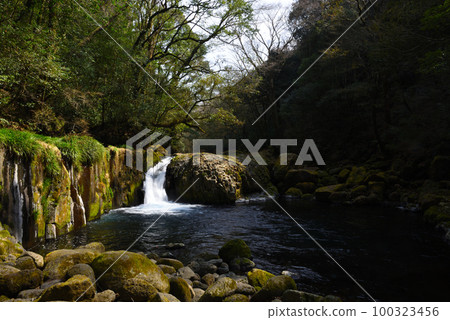 春天的菊池谷 春天的菊池谷 100323456