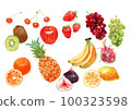 Fruit watercolor hand drawn illustration set 100323598